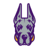 College: University at Albany, SUNY